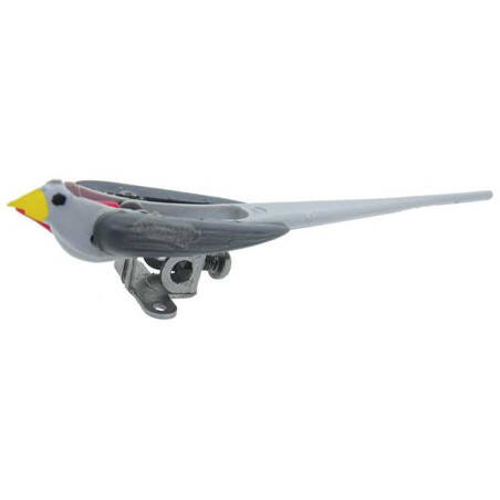 Oiseau de coucou
