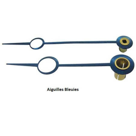 Aiguilles de pendule BREGUET bleues